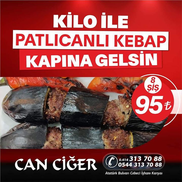 Fotoğraf 14
