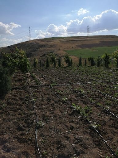 Yorum fotoğrafı 5