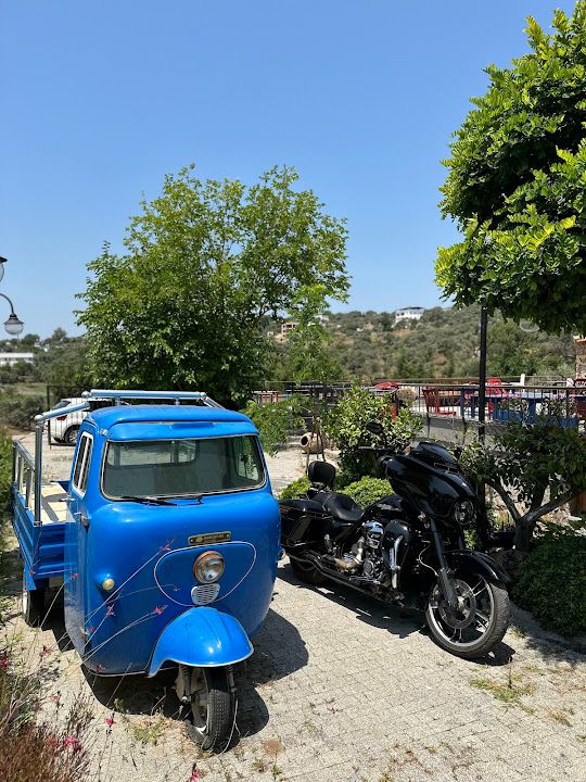Yorum fotoğrafı 3