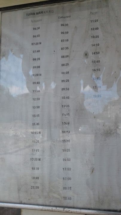 Fotoğraf 10