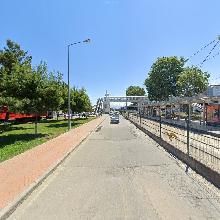 Fotoğraf 7