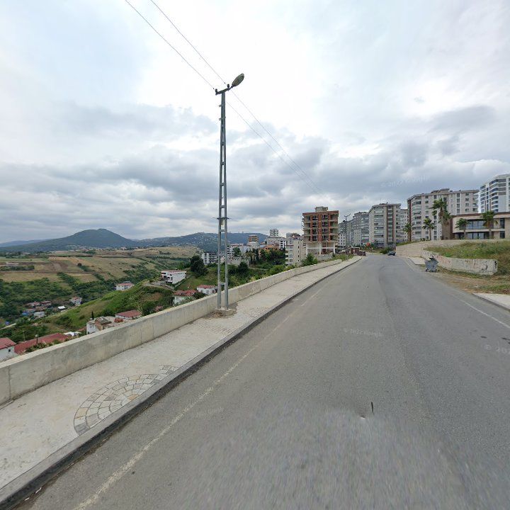 Fotoğraf 10