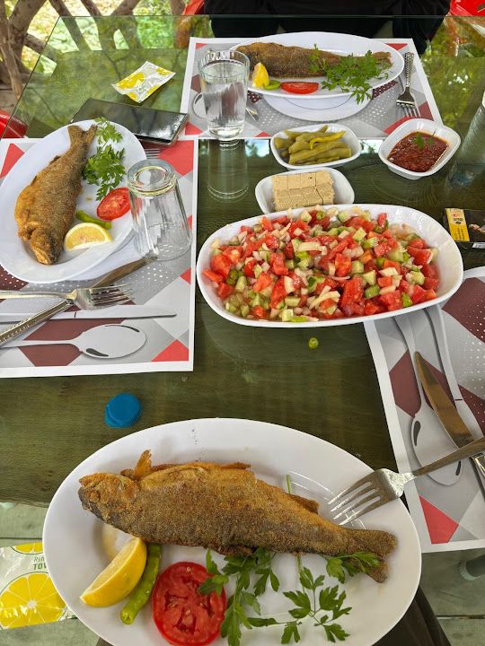 Meşelidüz Kayadibi Alabalık Tesisleri