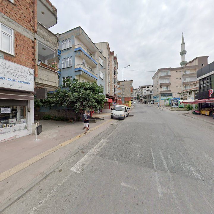 Fotoğraf 6
