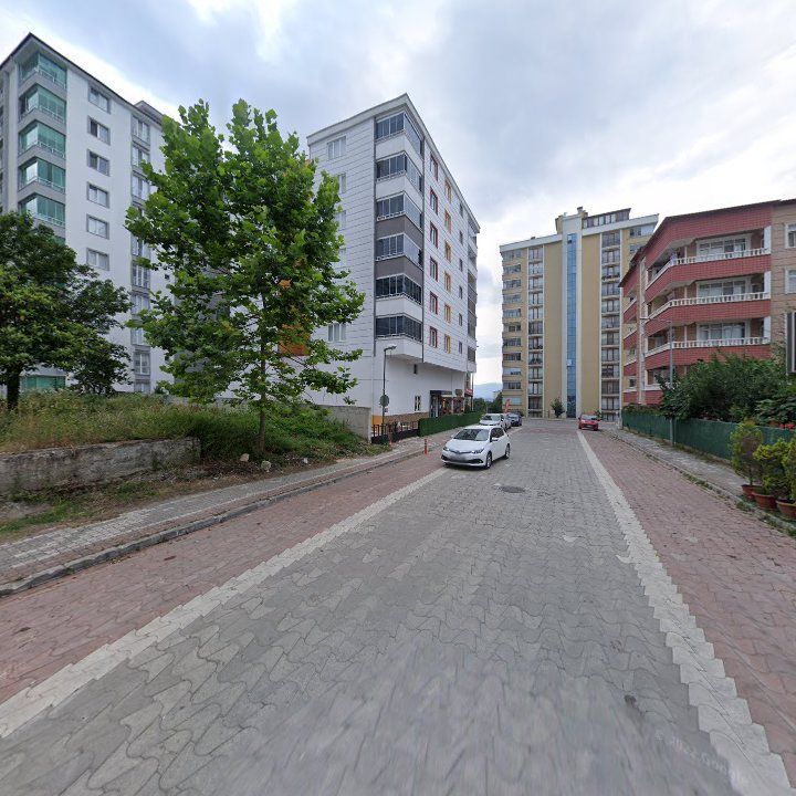 Fotoğraf 11