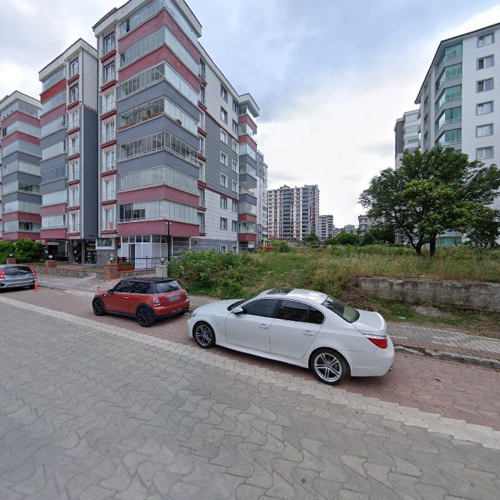 Fotoğraf 10