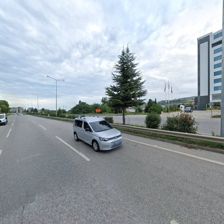 Fotoğraf 12