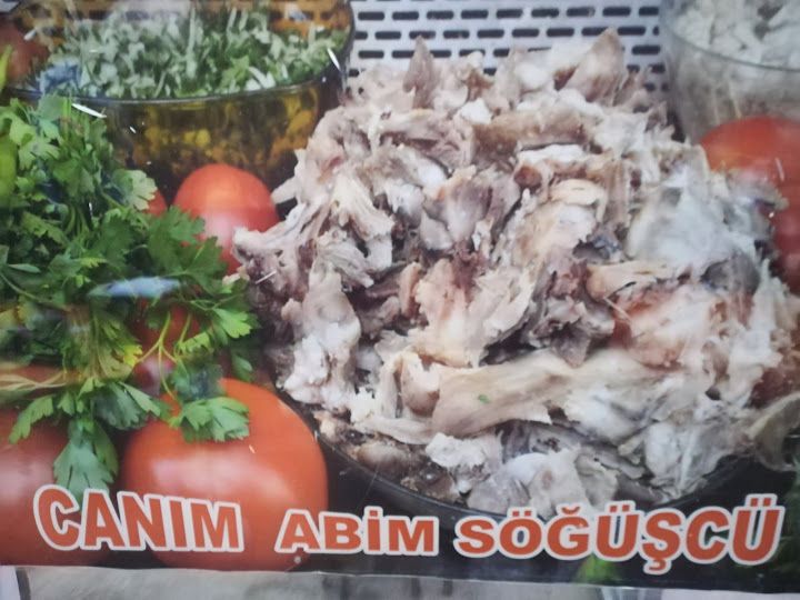 Fotoğraf 11