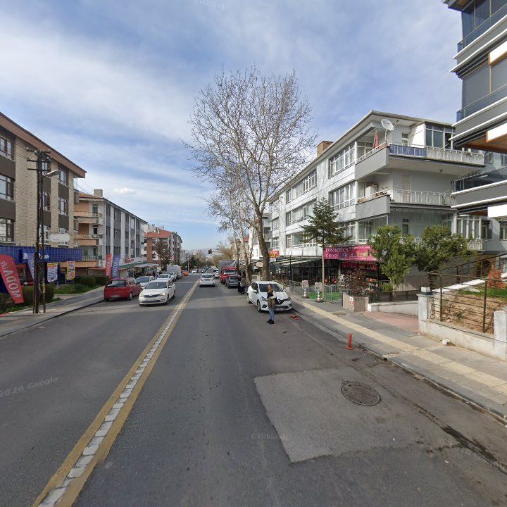 Fotoğraf 12