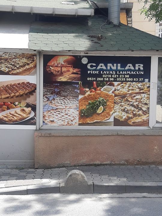 Fotoğraf 13