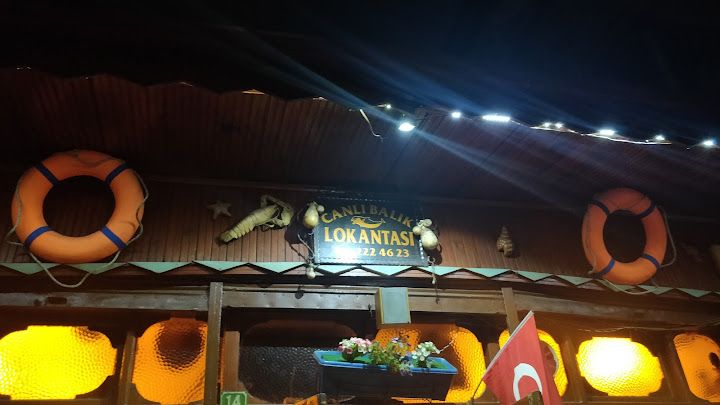 Yorum fotoğrafı 3