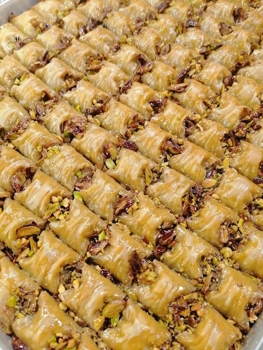 Fotoğraf 15
