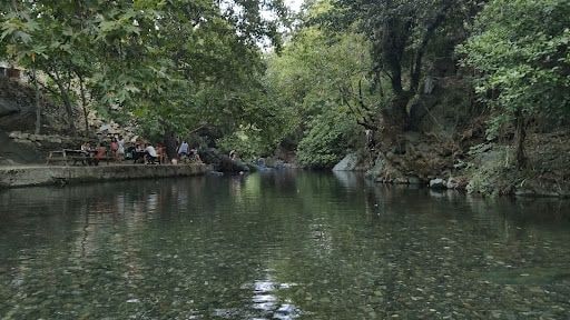 Fotoğraf 19