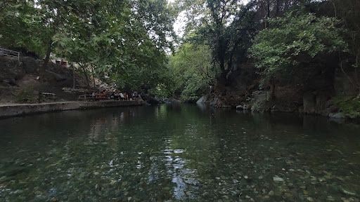 Fotoğraf 12