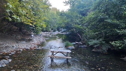 Fotoğraf 14