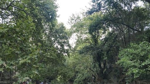 Fotoğraf 18