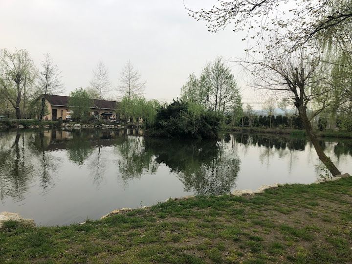 Fotoğraf 19