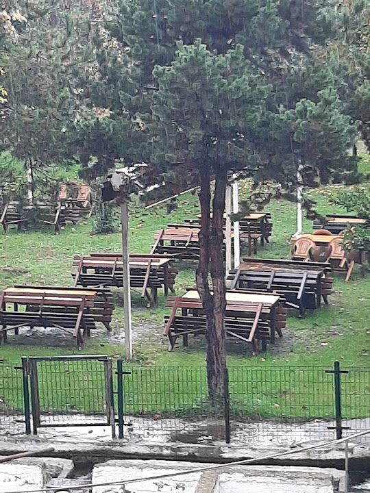 Fotoğraf 46