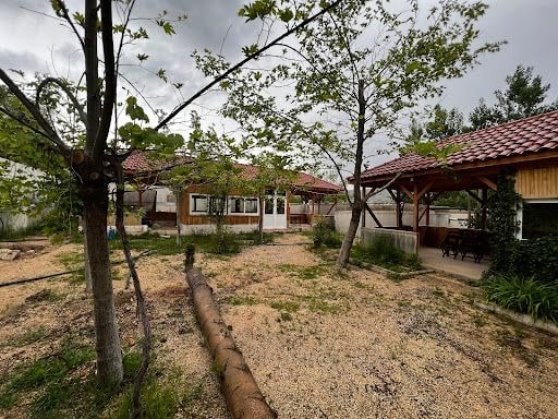 Yorum fotoğrafı 6