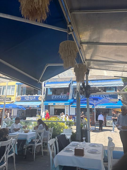 Fotoğraf 16