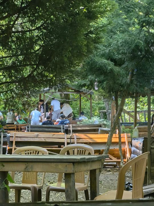 Fotoğraf 30