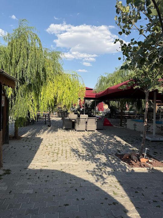 Fotoğraf 15