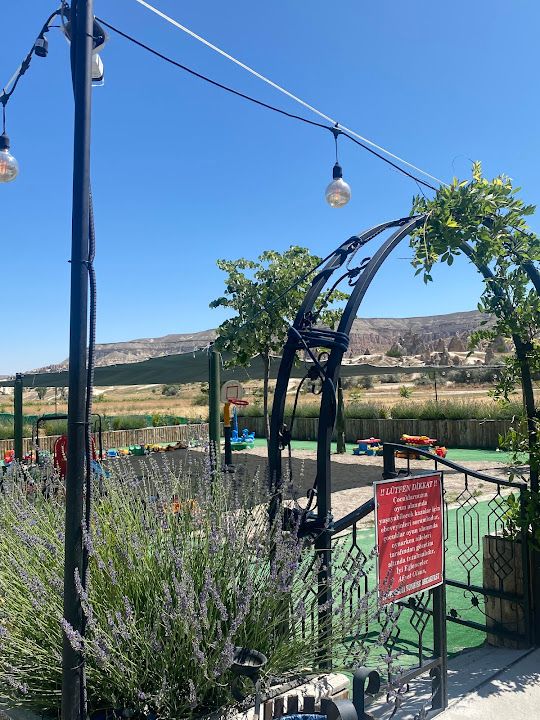 Fotoğraf 24