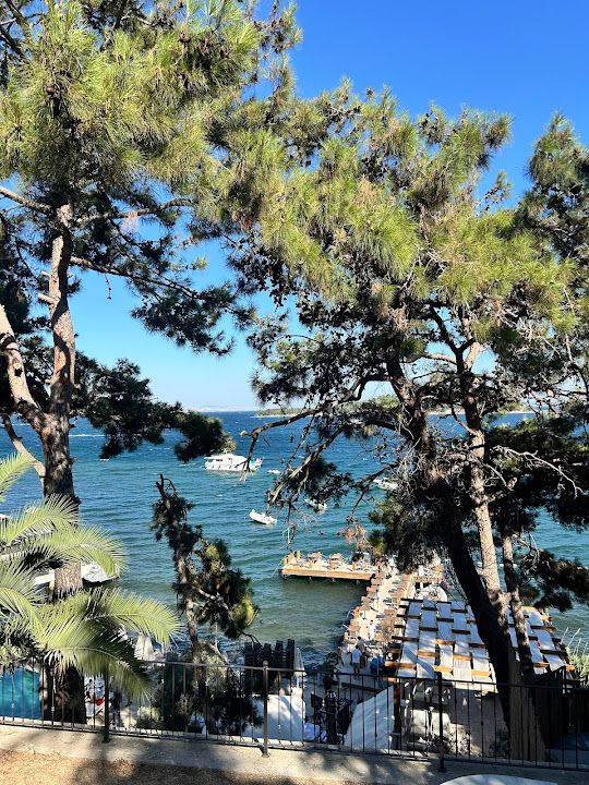 Fotoğraf 53