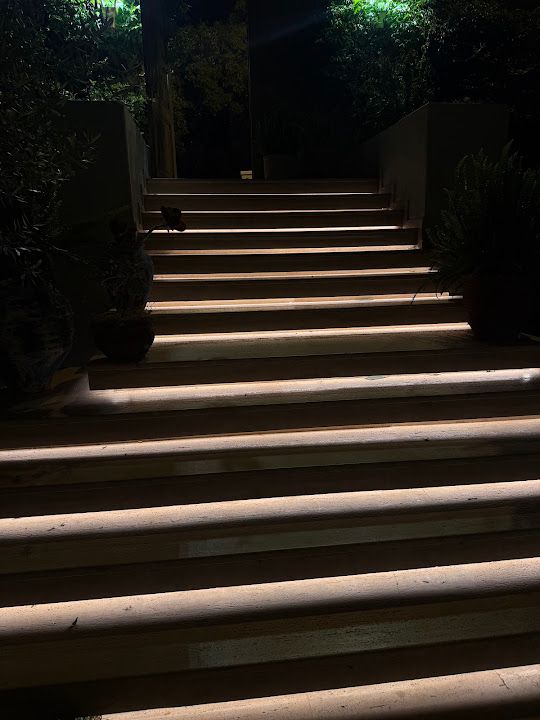 Fotoğraf 30