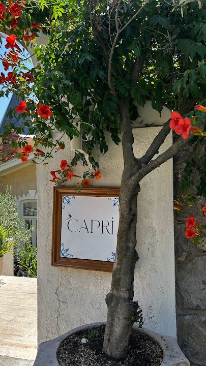 Fotoğraf 59