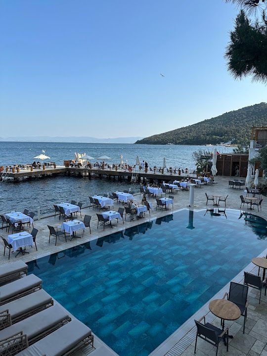 Fotoğraf 67