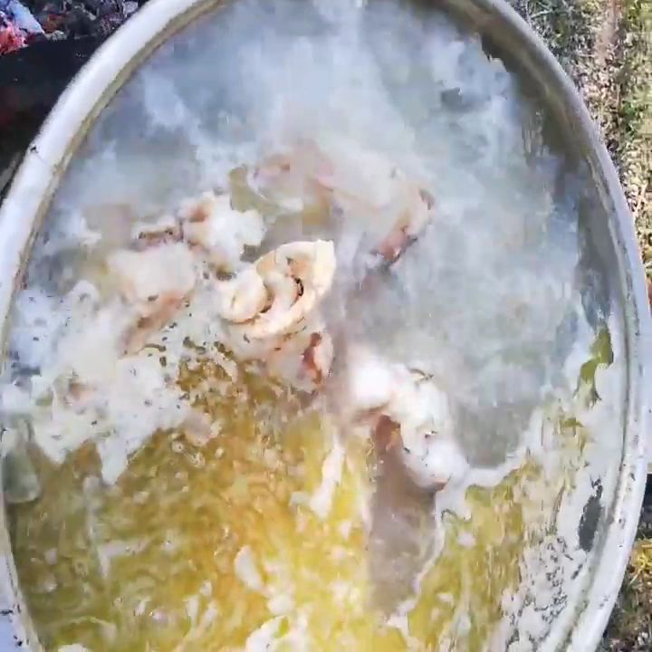 Fotoğraf 15