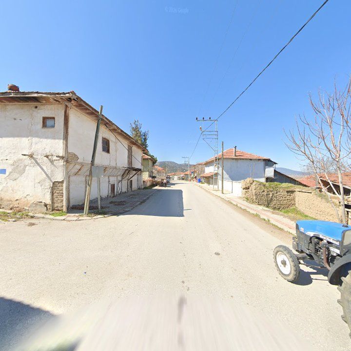 Fotoğraf 6