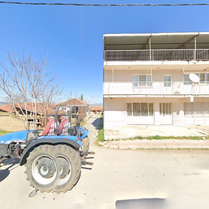 Fotoğraf 7