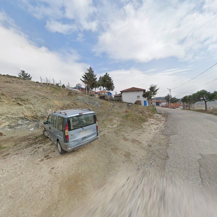 Fotoğraf 10