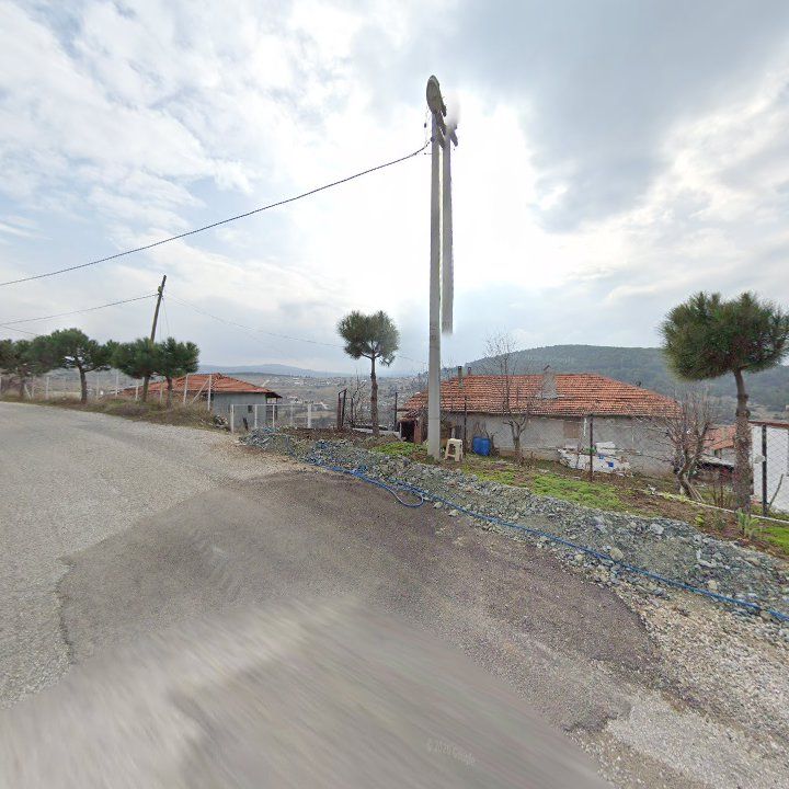 Fotoğraf 11