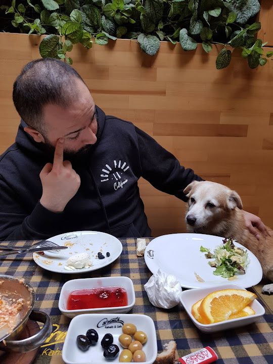 Fotoğraf 42