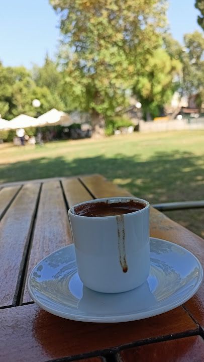Fotoğraf 32