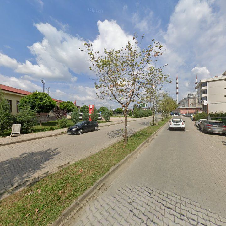 Fotoğraf 7