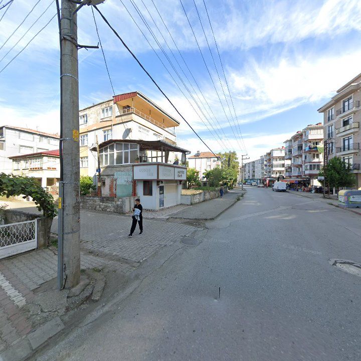 Fotoğraf 12