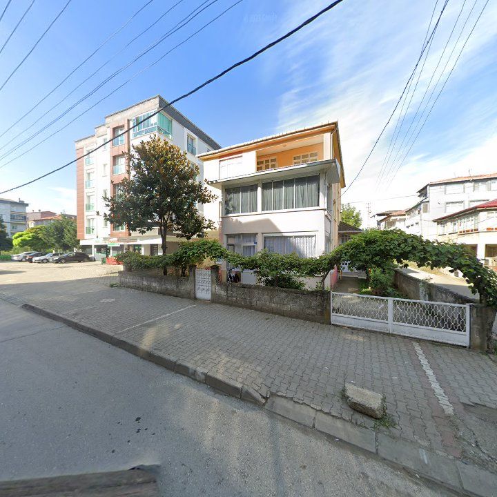 Fotoğraf 11