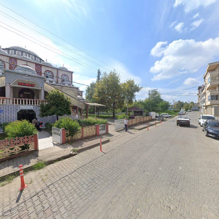 Fotoğraf 8