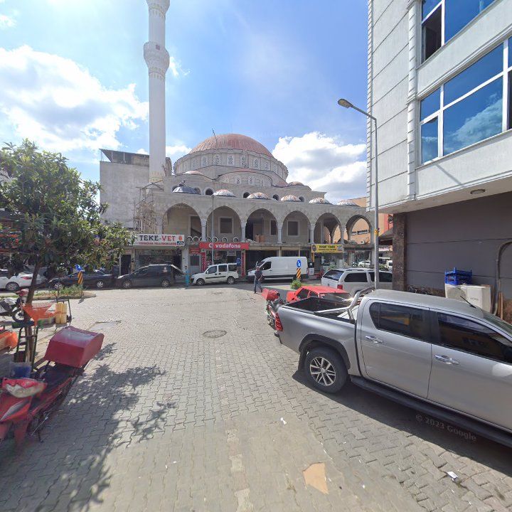 Fotoğraf 5