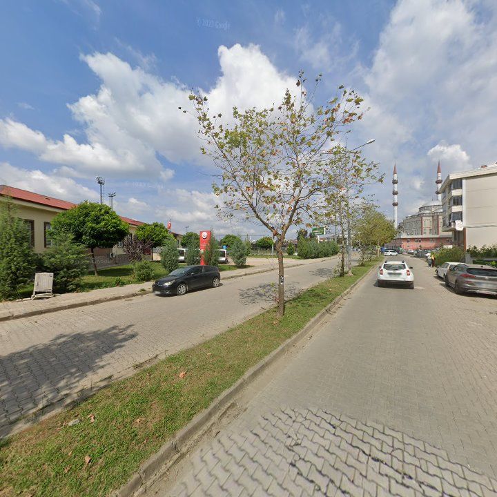 Fotoğraf 6