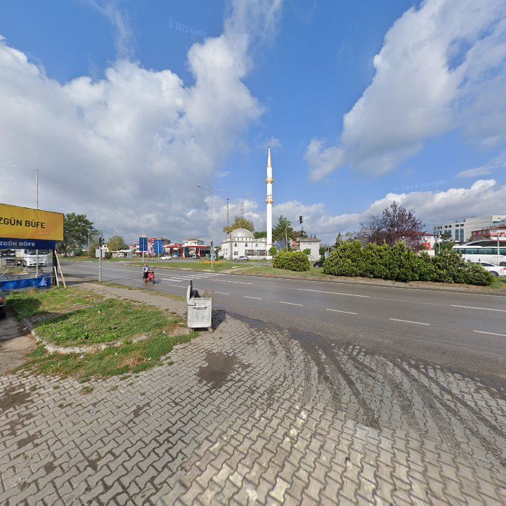 Fotoğraf 8