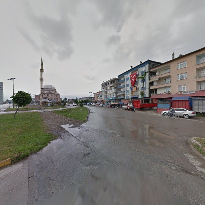 Fotoğraf 8