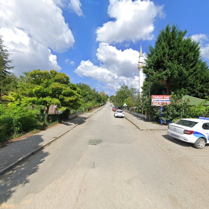 Fotoğraf 8
