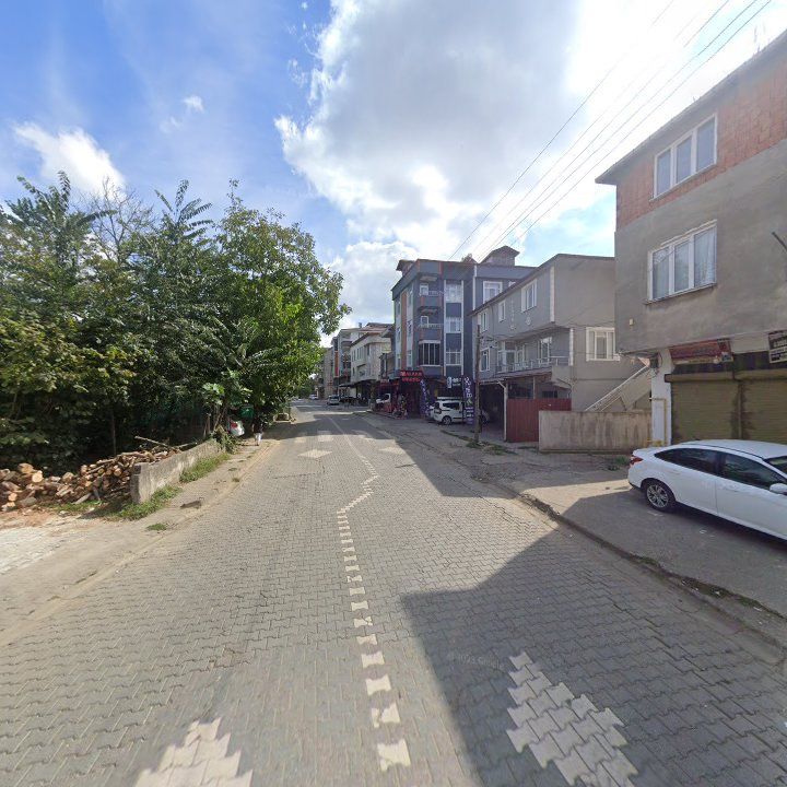 Fotoğraf 6