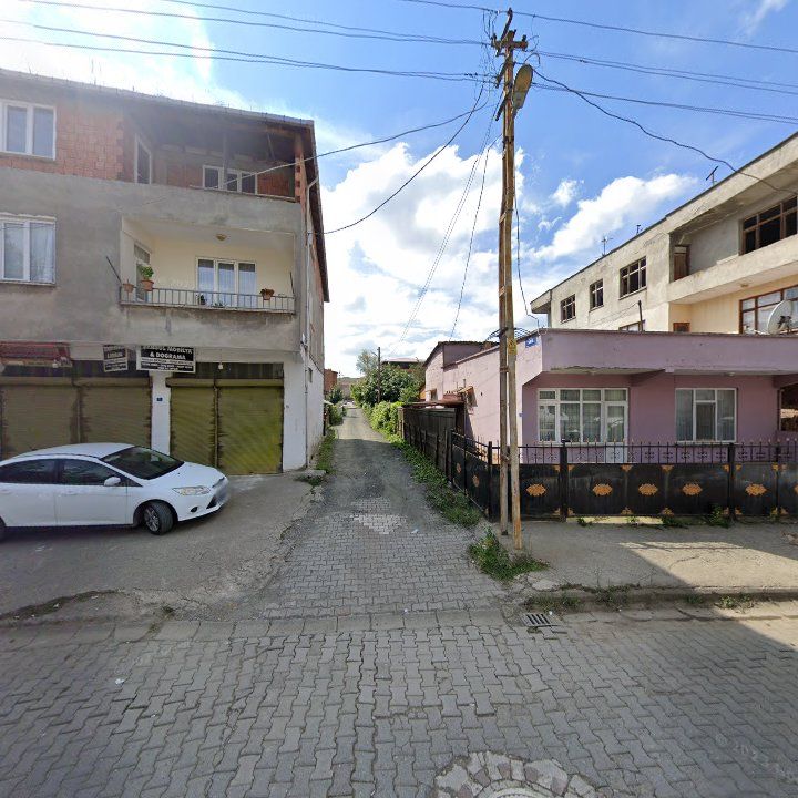 Fotoğraf 7