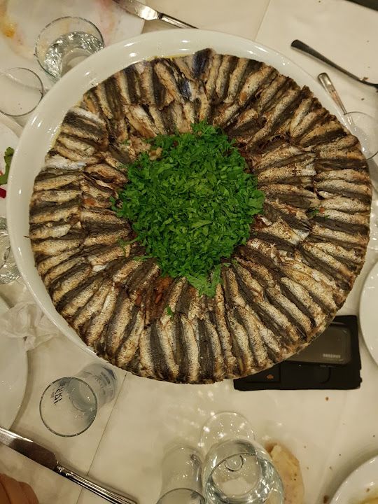 Fotoğraf 17